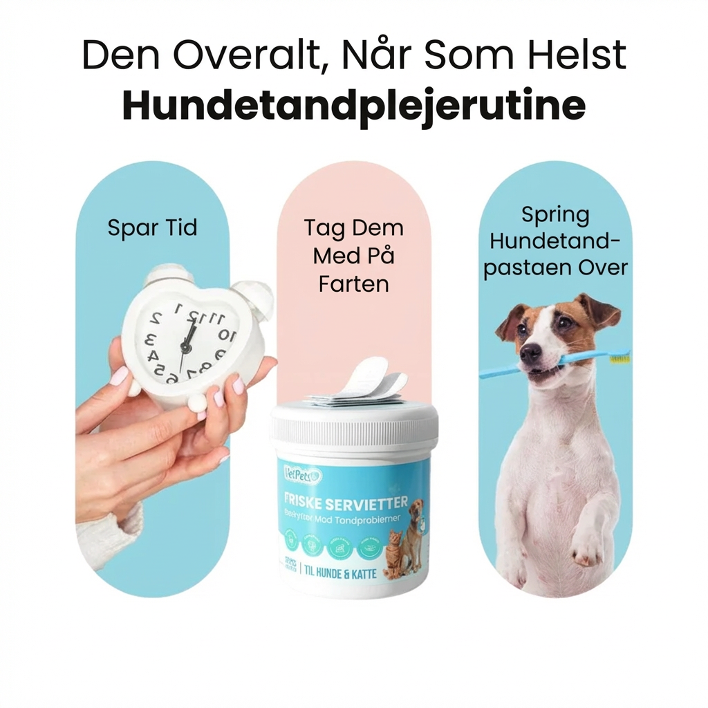 Renform - Naturlige Tandservietter til Hunde